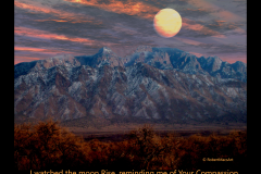 moonrises