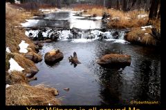 yourwitness