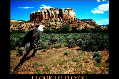 1_LOOKUP