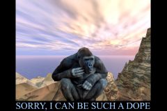 1_SORRY